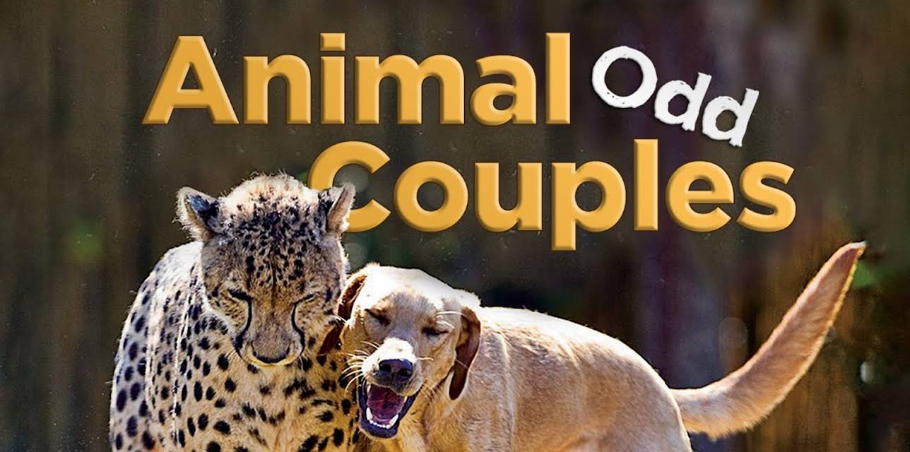 Animal Odd Couples (1982)