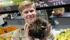 Crikey! It's the Irwins (S2 E8)