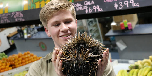 17:00: Crikey! It's the Irwins (S2 E8) (S2) | Animal Planet | 3/6 2026