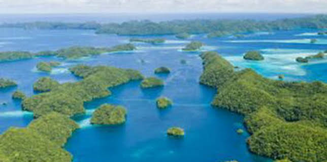 10:36: Arqueología en la jungla: El viaje del antiguo rinoceronte | Discovery Max | 2/20 2026