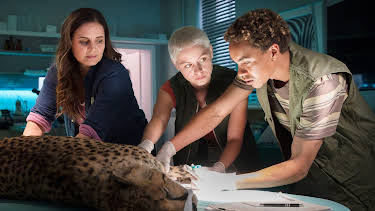 09:45: Tierärztin Dr. Mertens (104) | MDR Fernsehen | 3/31 2026