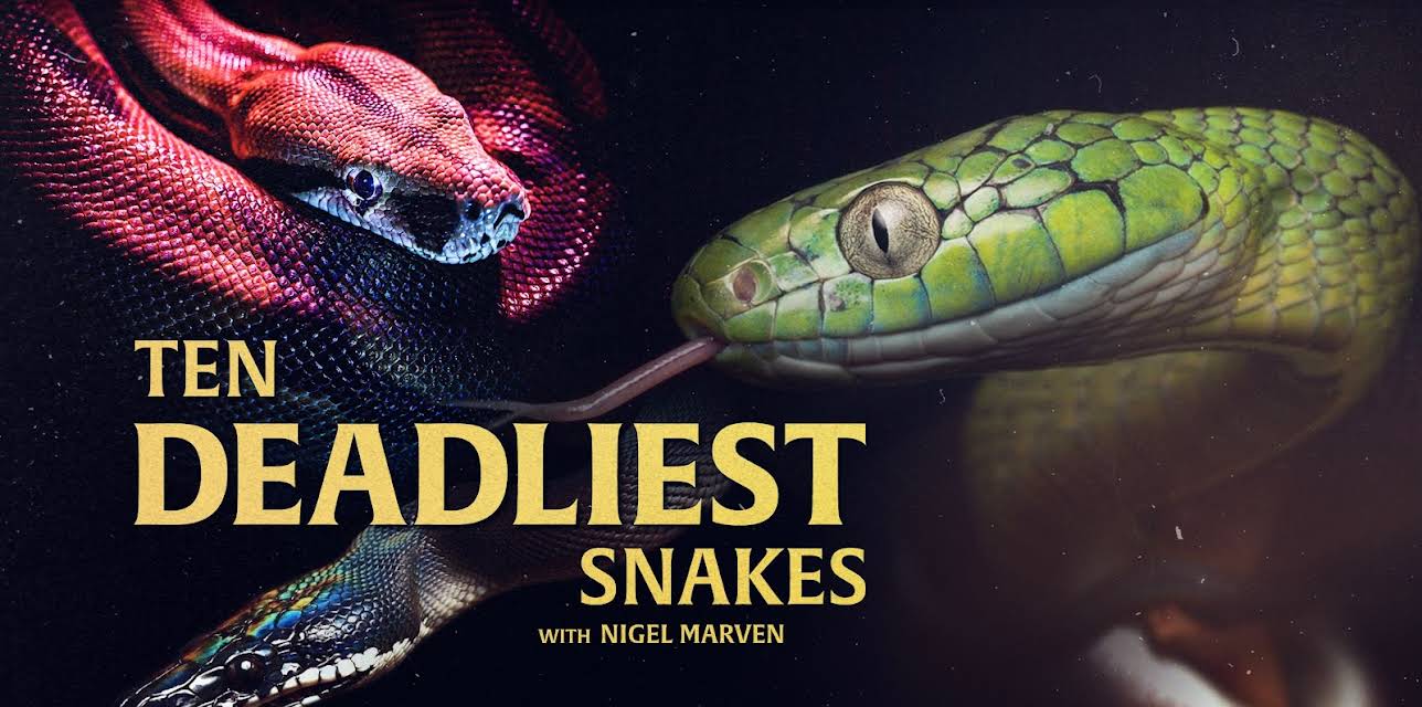 Ten Deadliest Snakes with Nigel Marven
