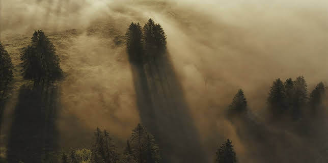 17:35: Wilde Schweiz: Waadtländer Jura | 3SAT | 12/4 2025