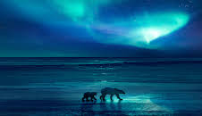 Eisige Welten II (1/6)