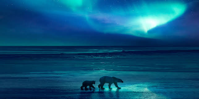 14:00: Eisige Welten II (1/6) | 3SAT | 11/27 2025