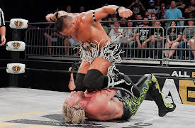 AEW Special Events, Season 2019: AEW Fight for the Fallen 7/13/2019