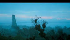 Antiguas civilizaciones de América: Mayas e Incas: los maestros de la guerra