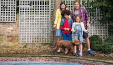 Waffle the Wonder Dog