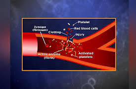 Biochemistry and Molecular Biology: How Life Works: Enzyme Regulation in Cells