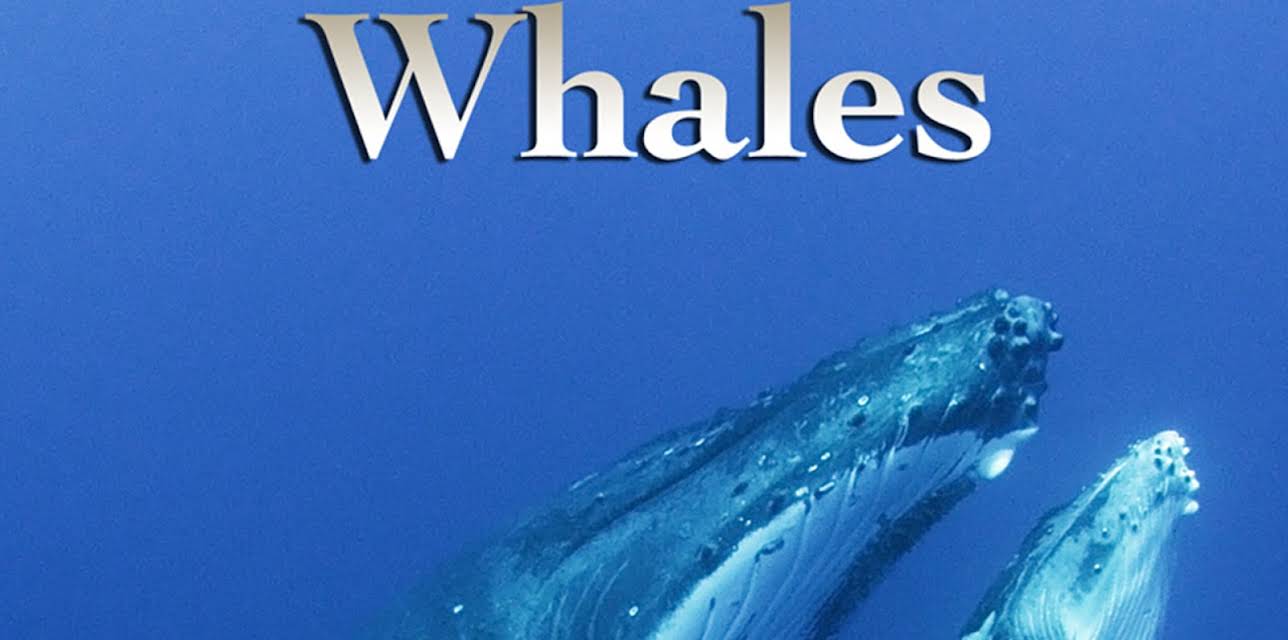 Whales (2012)