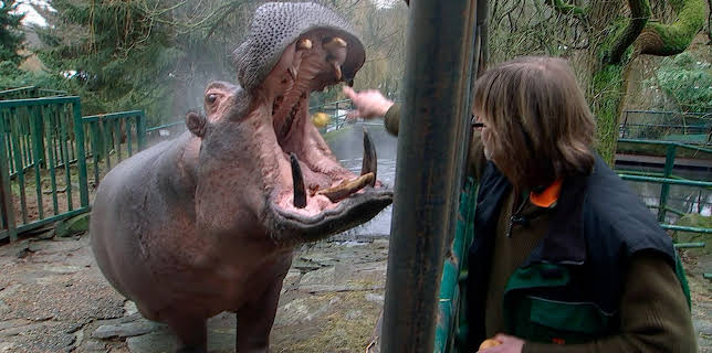 05:55: Giraffe, Erdmännchen & Co. (177) | HR Fernsehen | 2/19 2026