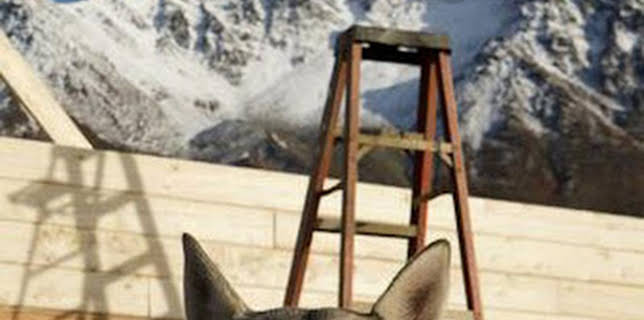 22:00: Construyendo Alaska: Una vida de percances | Discovery | 3/17 2026