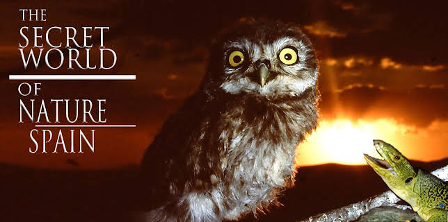 The Secret World of Nature: Spain