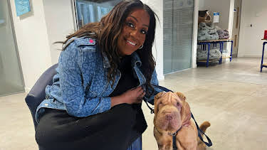 2:00 AM: For the Love of Dogs (S13 E3) (S13) | ITV | 4/1 2026