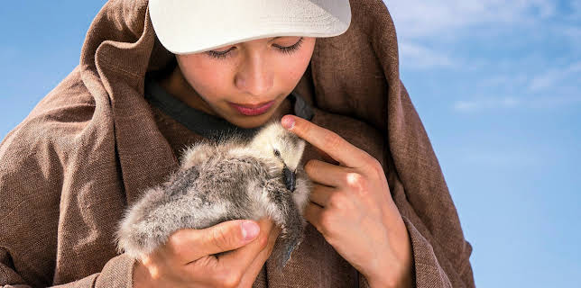 06:55: Der Junge und die Wildgänse | Das Erste | 1/18 2026