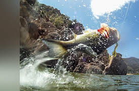 Fishin' with the Good Ol' Boys: Fishing 3/4 oz jigs at Roosevelt Lake with Pro Angler Larry Mantle