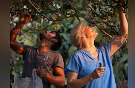 Food. Sail. Love: Kekova