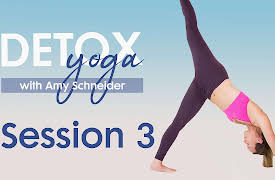 Detox Yoga with Amy Schneider: Detox Flow 3