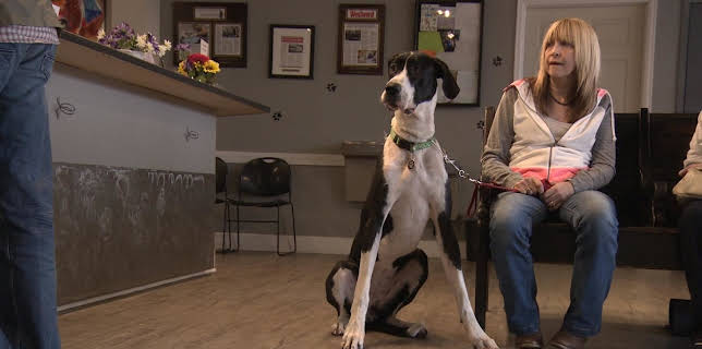 18:00: He's Ours Now (S4 E9) (S4) | Animal Planet | 1/29 2026