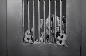 Fireball XL-5 Season 1: Dangerous Cargo