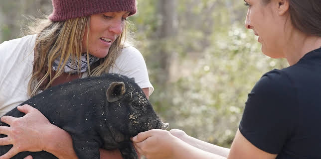 20:00: Homestead Rescue (S1 E4) (S1) | Discovery Channel | 3/22 2026