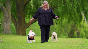 21:25: Hundehuset: Moose, Teddy og Fizz | NRK 2 | 4/14 2026