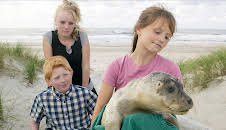 Der Seehund von Sanderoog