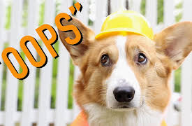 Topi the Corgi: Deleted Scenes