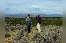 Beyond Is Genesis History?: The Grand Staircase : Grand Canyon
