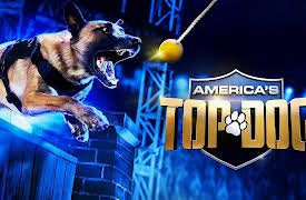 America's Top Dog Season 1: RAISING THE WOOF