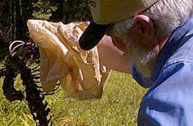 Mysteries at the Museum, Season 2: Annabelle Doll and More