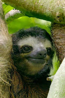 17:43: Hotspots: Centro América | La Otra | 2/25 2026