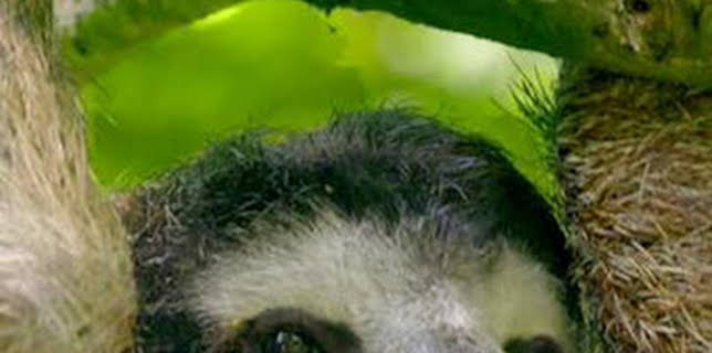 15:42: Hotspots: Australia | La Otra | 12/7 2025