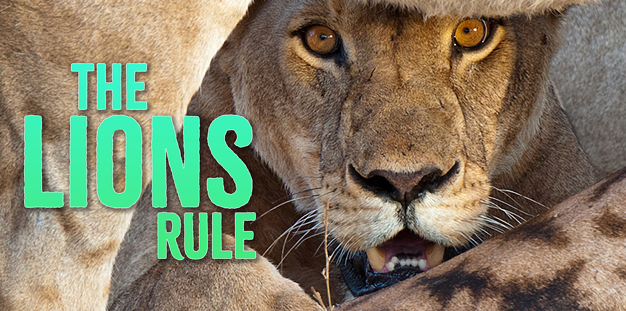 The Lions Rule