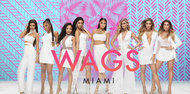 Wags: Miami, Season 1