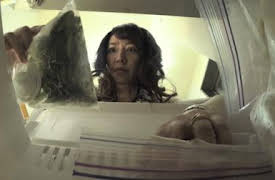 Kantaro: el empleado goloso: Éclair