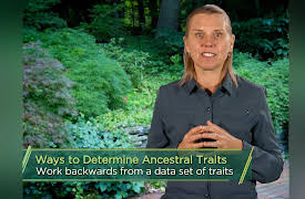 The Botanist's Eye: Identifying the Plants around You: Plants Are Named like People