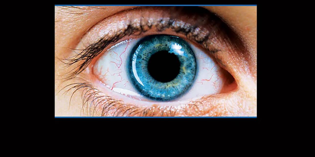 Requiem for a Dream (2000)