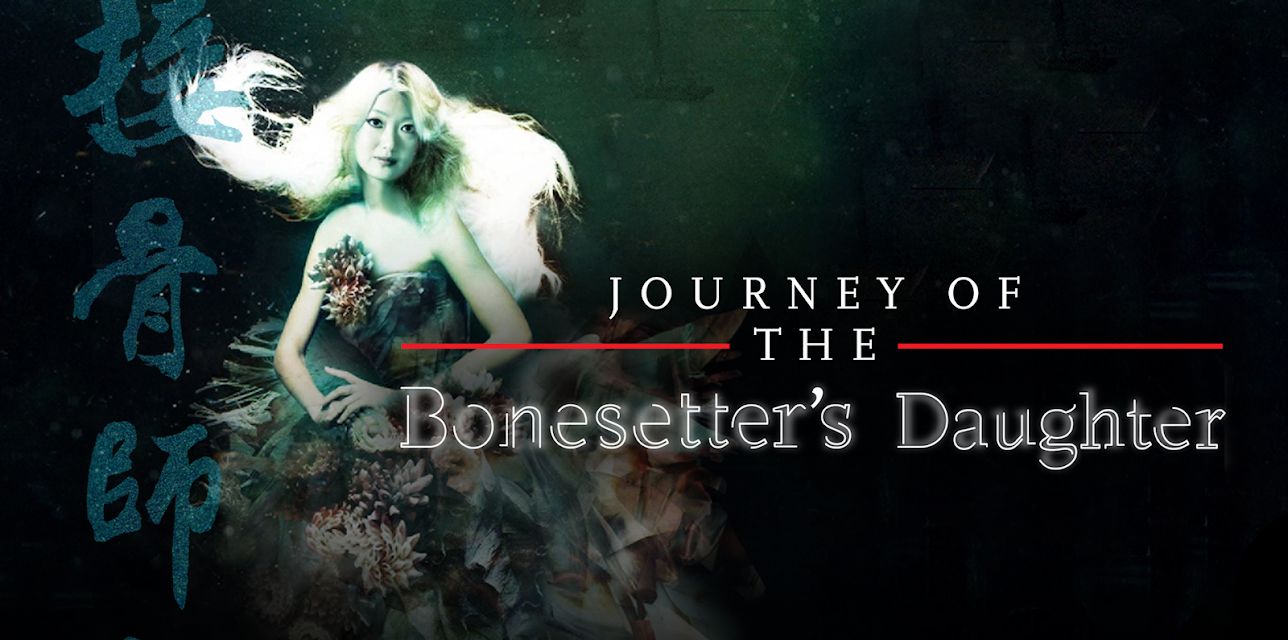 Journey of the Bonesetter's Daughter (2011)