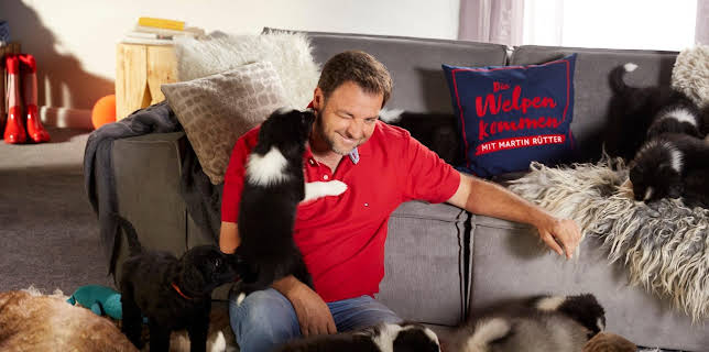 20:15: Die Welpen kommen - Mit Martin Rütter | VOX | 3/10 2026