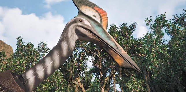 5:05 PM: Andy's Dino Island (S1) | Cbeebies | 3/24 2026