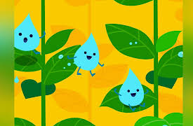 Curiosity Songs with Pinkfong & Hogi: Water Drop Sonata