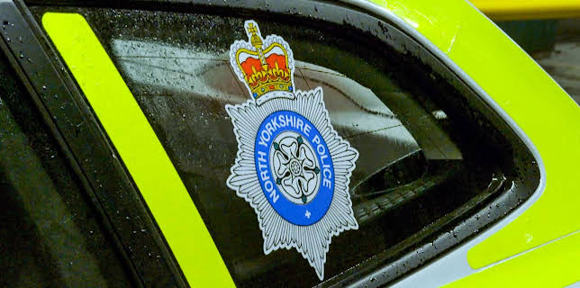 9:15 AM: Traffic Cops (S12 E20) (S12) | Paramount | 3/4 2026