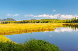 Stories of America’s National Parks: Philanthropy and Park Creation at Acadia