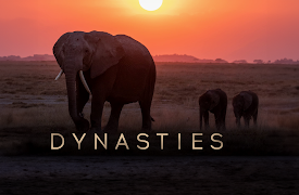 Dynasties, Season 2: Puma