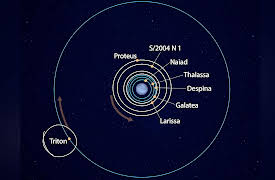 A Field Guide to the Planets: Neptune: Windy with the Wildest Moon