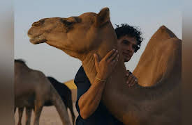 The Wanderer: A Travel Series: Abu Dhabi: The Charm of Tradition