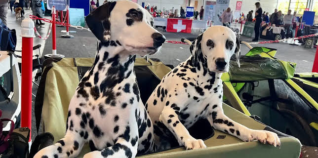 14:00: die nordstory | Radio Bremen | 3/4 2026