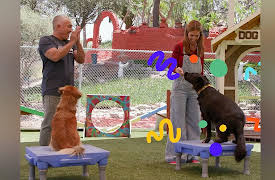 Club Mundo Kids: Pets / Mascotas