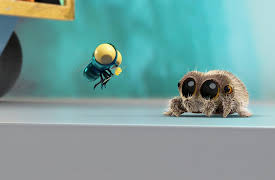 Lucas the Spider Shorts: Meet the Boop Troop, Season 1: Fun with Findley